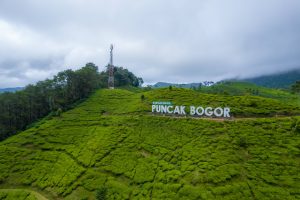 Menikmati Keindahan 15 Wisata di Puncak Bogor, Alamat dan Biaya Tiket Masuk